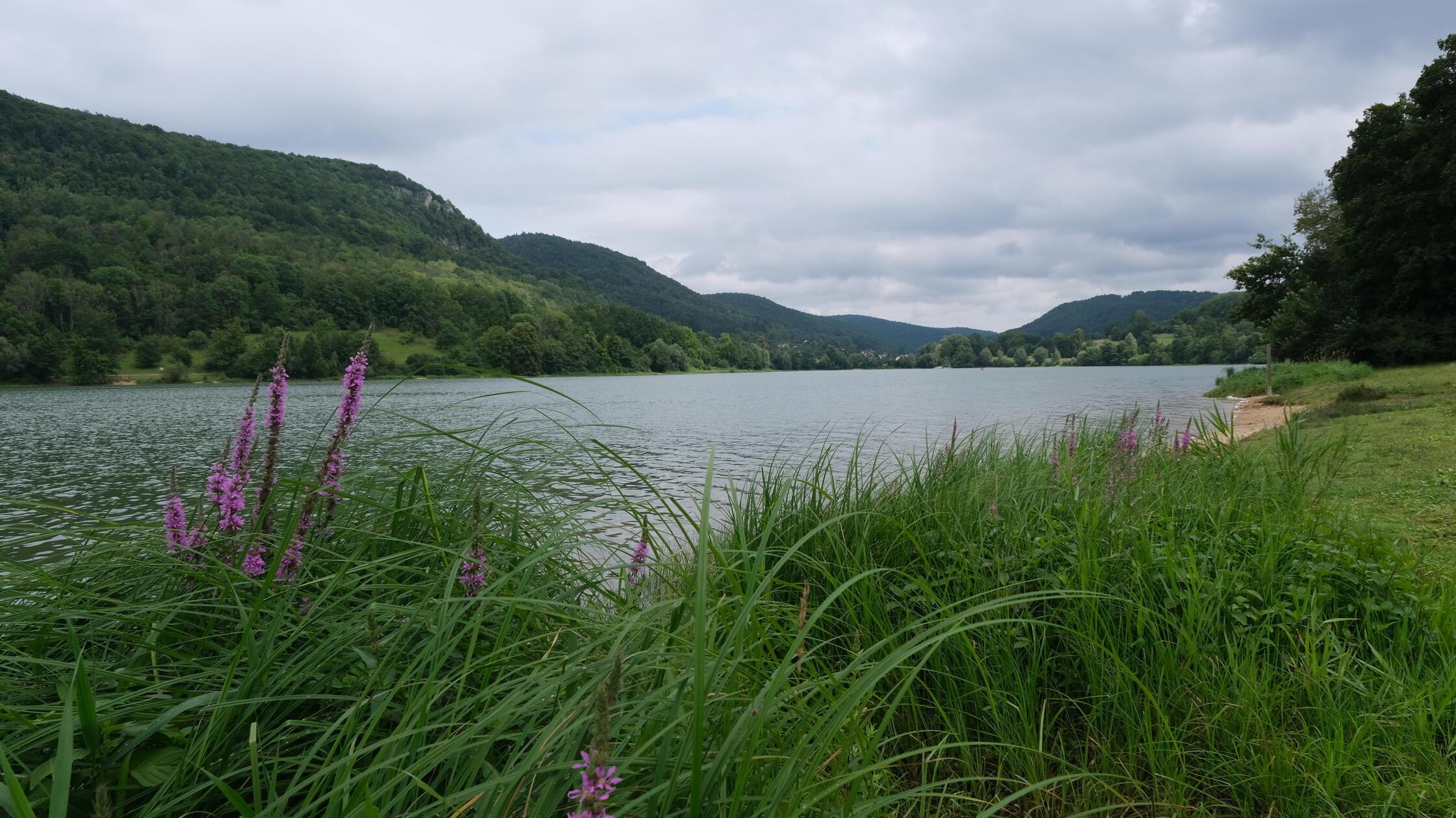 Happurger_Stausee_ink_240722_2_