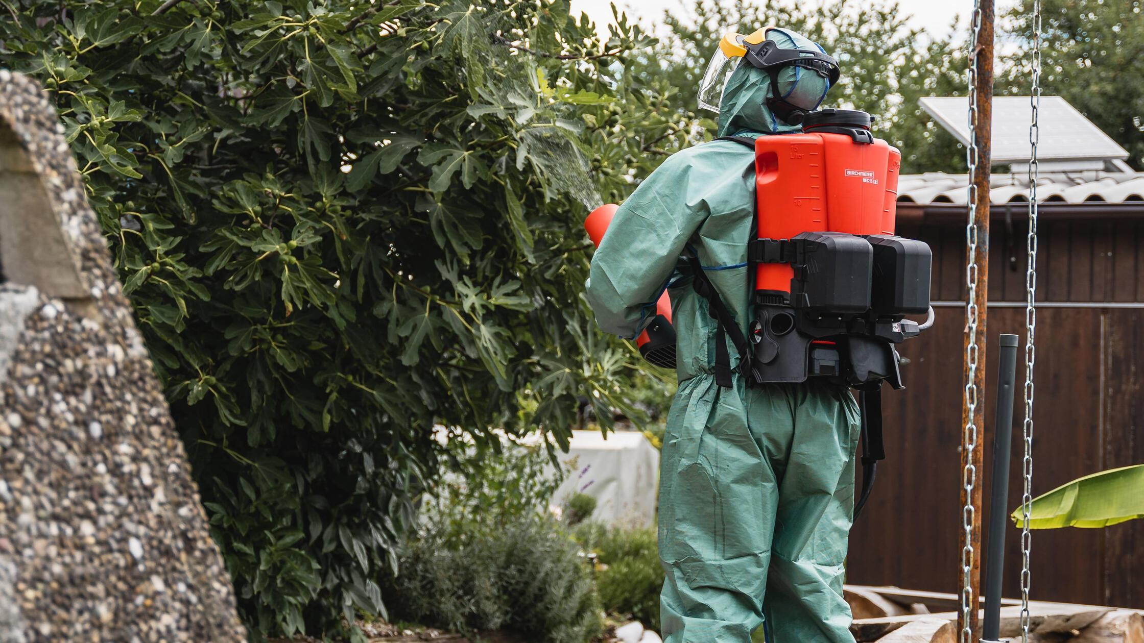 Rasante Ausbreitung in Urlaubsgebieten: Deutsches Ministerium warnt Urlauber vor gefährlichem Käfer