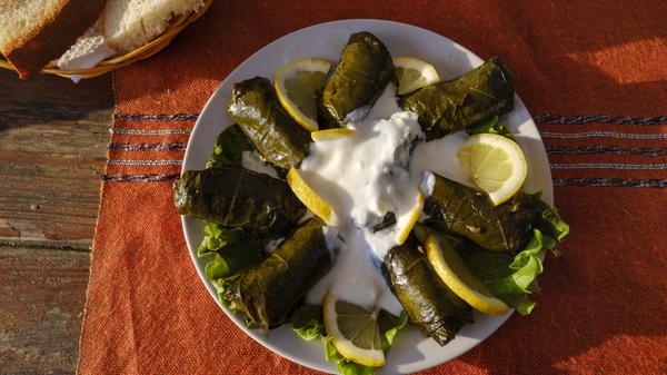 Albania, Japrak, stuffed vineleaves on plate PUBLI