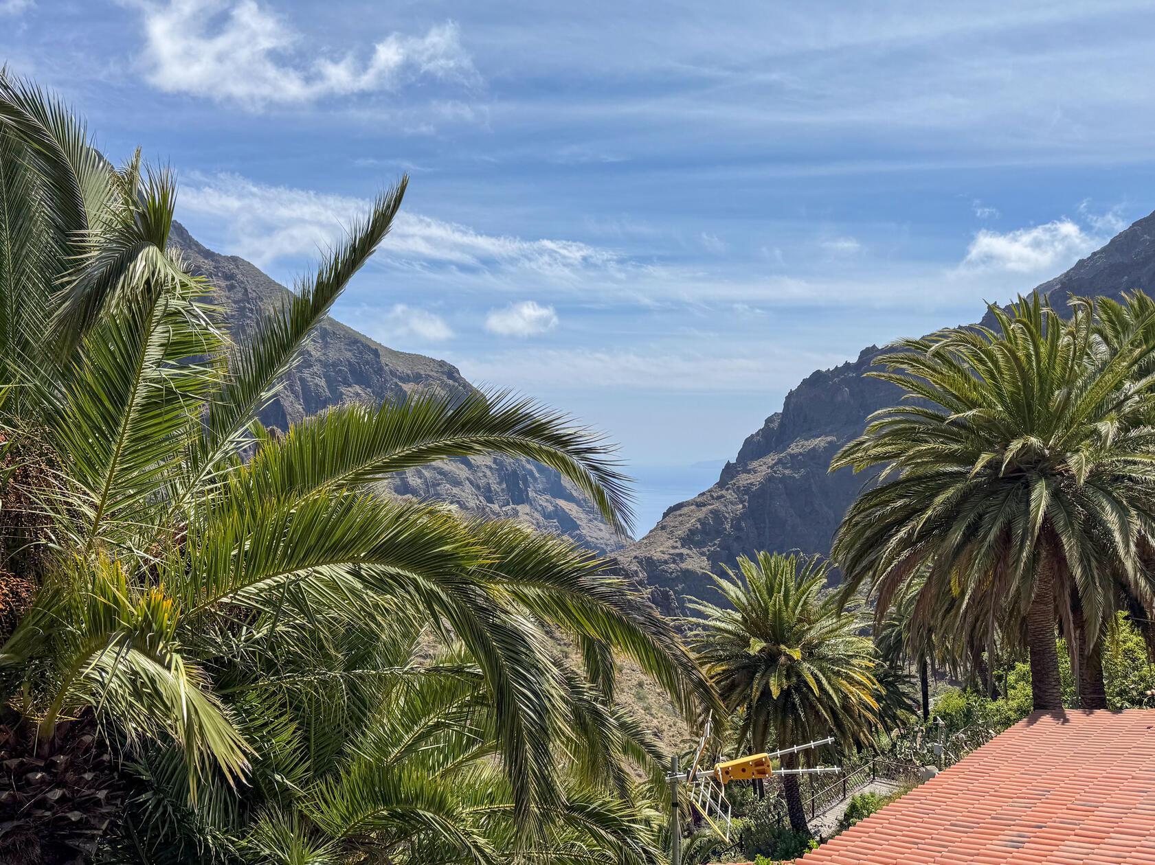 Masca, lautet der Name des kleinen Dorfes mitten in den Bergen mit diesem wundervollen Ausblick, vorbei an Palmen und Hängen raus aufs Meer.