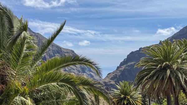 Masca, lautet der Name des kleinen Dorfes mitten in den Bergen mit diesem wundervollen Ausblick, vorbei an Palmen und Hängen raus aufs Meer.