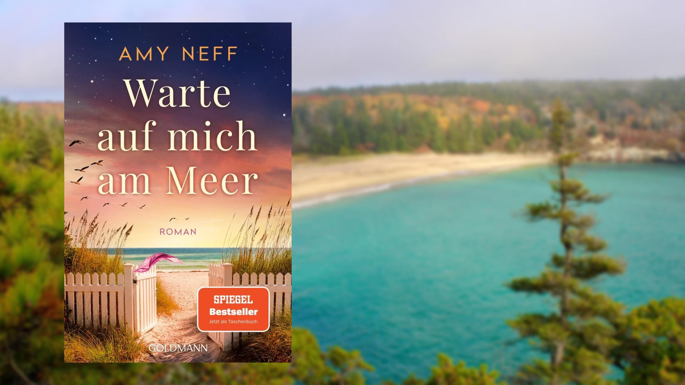 2026-01-30_09-05_collage (1)