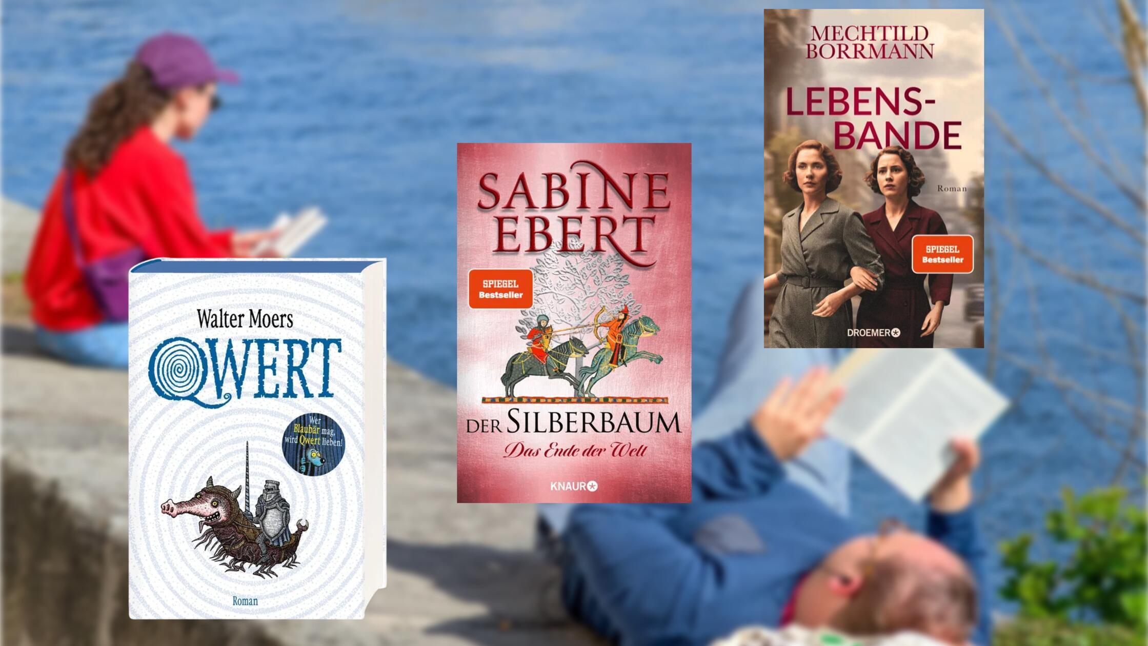 2025-11-14_08-08_collage