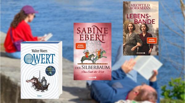 2025-11-14_08-08_collage