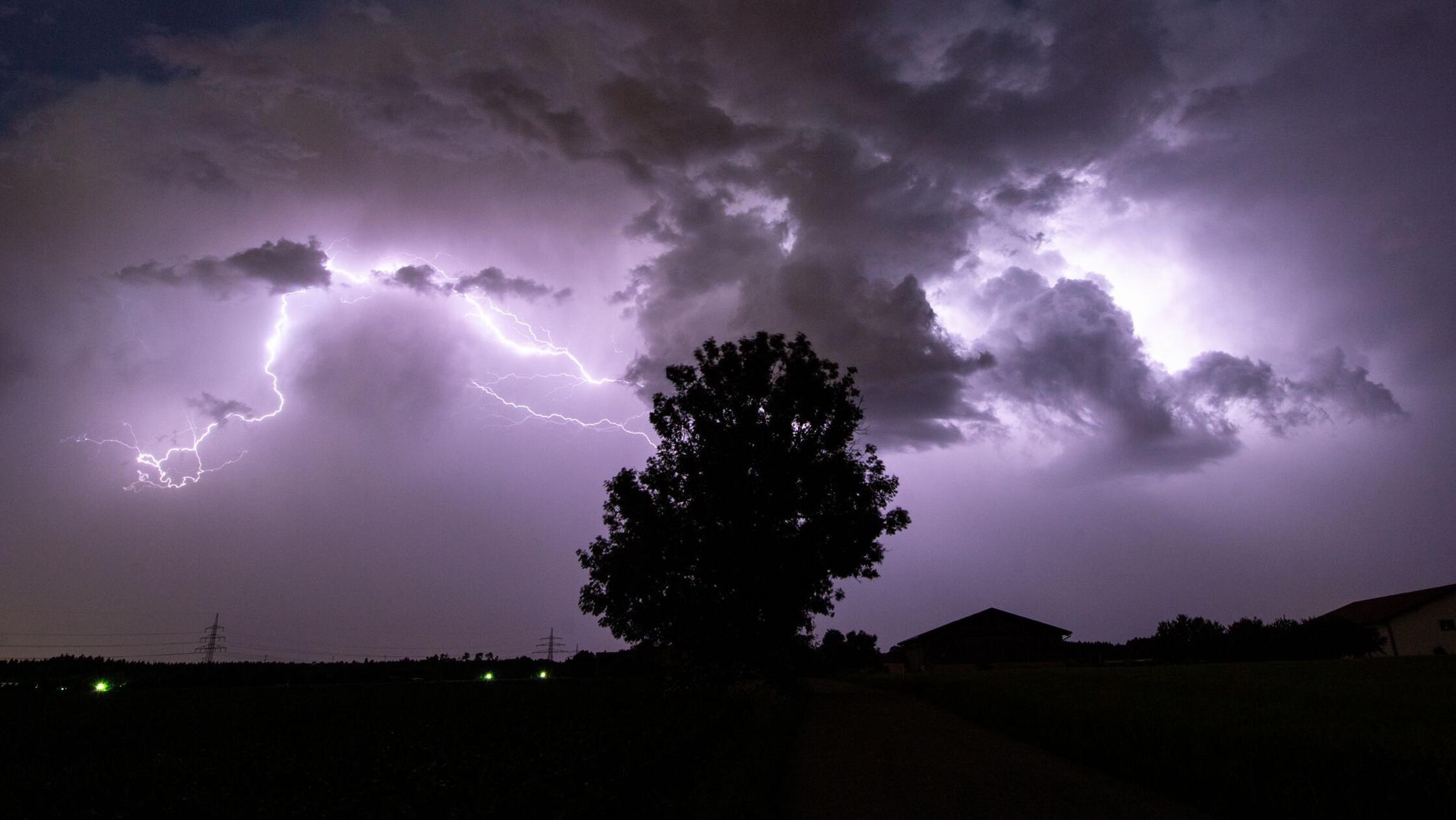 Studie: 320 Mio Bäume sterben pro Jahr durch Blitzschlag