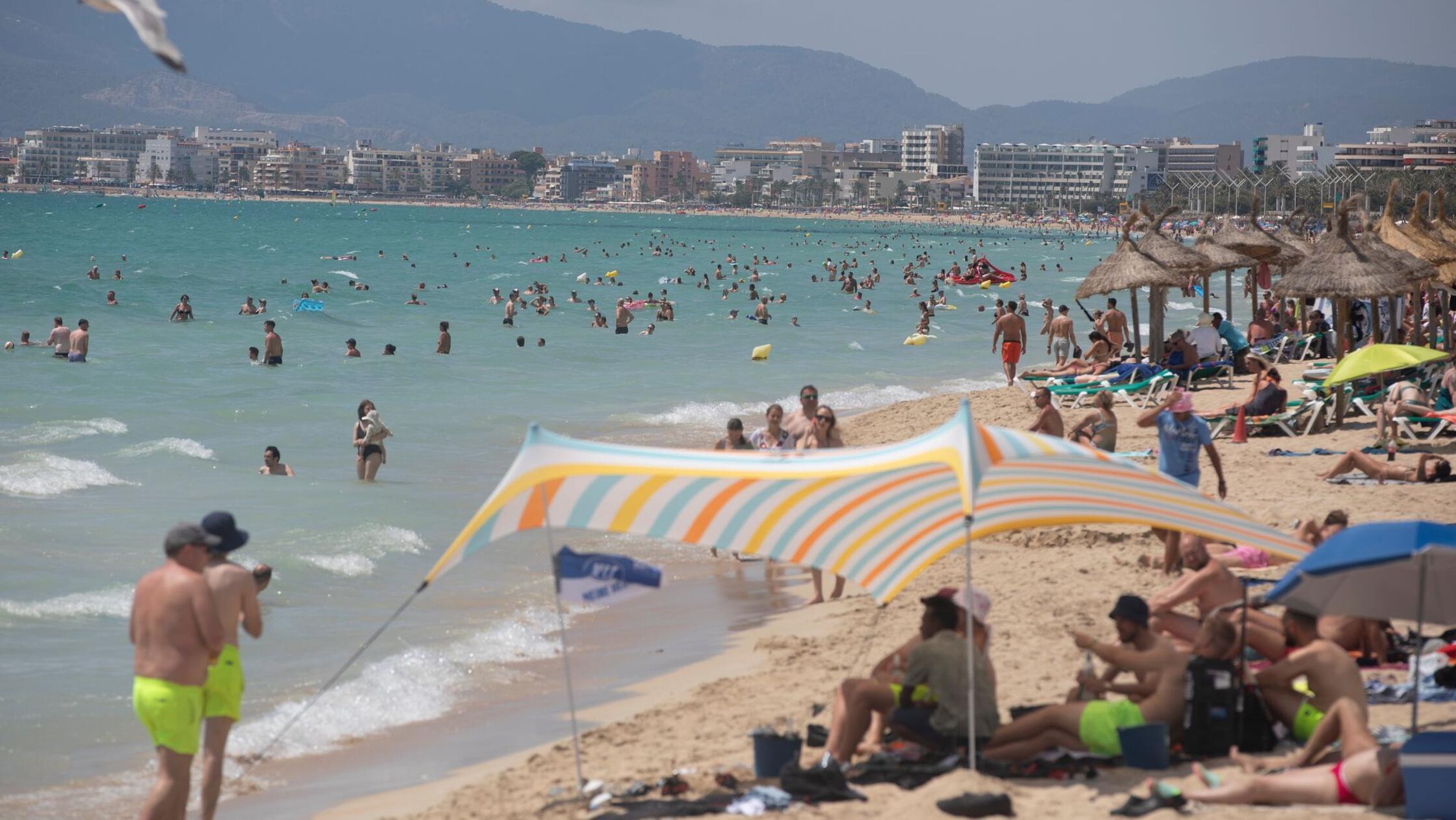 Nach „Hai-Alarm“ Badeverbot am Ballermann - Frau verletzt