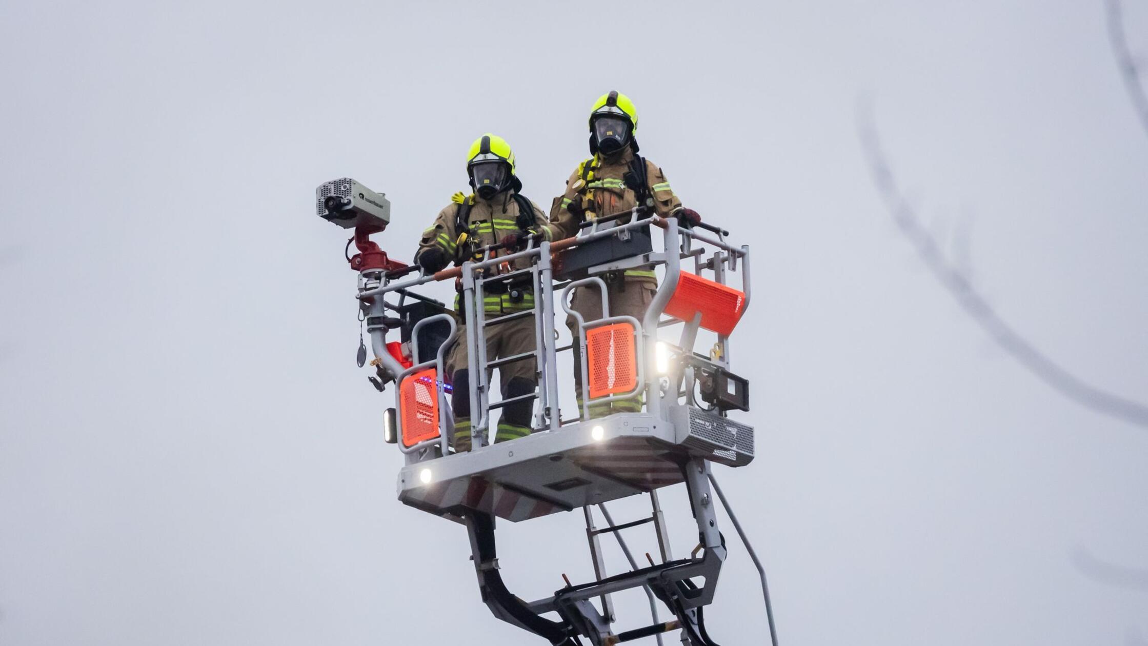 Seniorin sucht Katze auf Dach – Polizei und Feuerwehr kommen