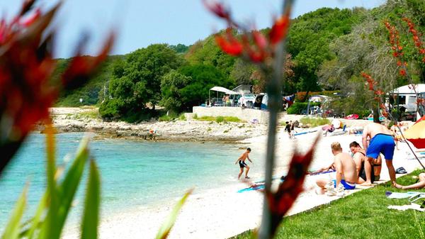 Istrien Kroatien Niese 2025 Bale Mon Perin