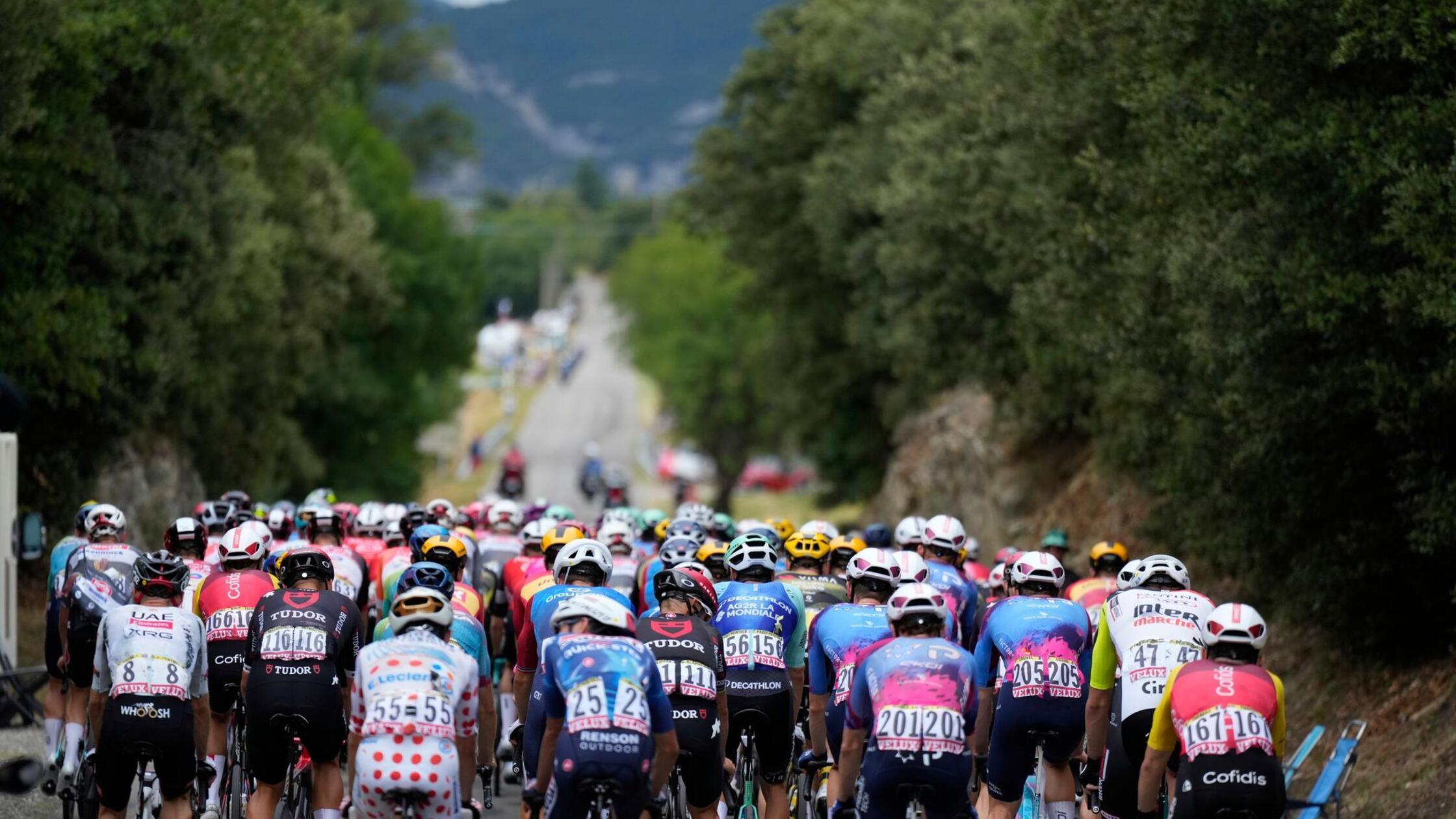 17. Tour-Etappe: Milan gewinnt Sprint