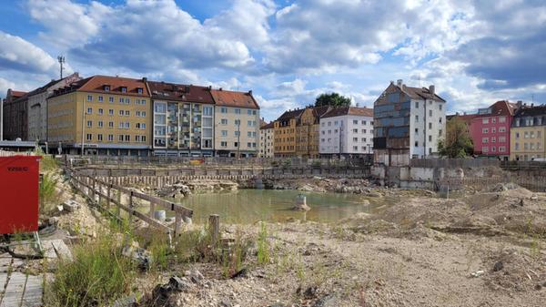 shared image - 2025-07-23T190857