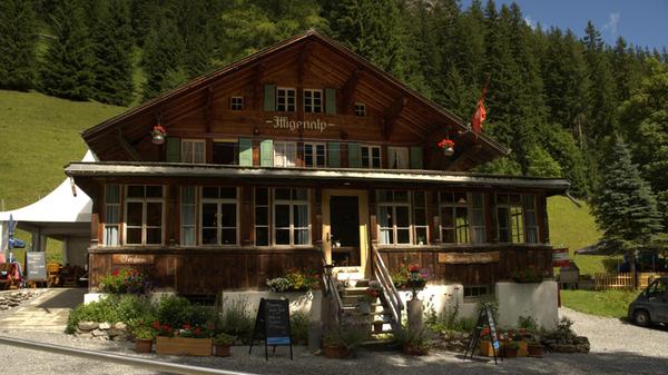 Zur Alpwirtschaft gehört auch ein Gasthaus und ein Restaurant – eine beliebte Adresse für Besucher von Lenk. Die Iffigenalp bildet den Startpunkt der Wanderroute über die Langermatte.