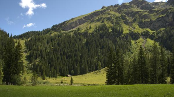 Ab der Iffigenalp geht es ein kurzes Stück über den Asphaltweg zurück und dann rechts ins Feld – über einen Bachlauf hinweg und zwischen grünen Wiesen hindurch, auf denen Kühe grasen.
