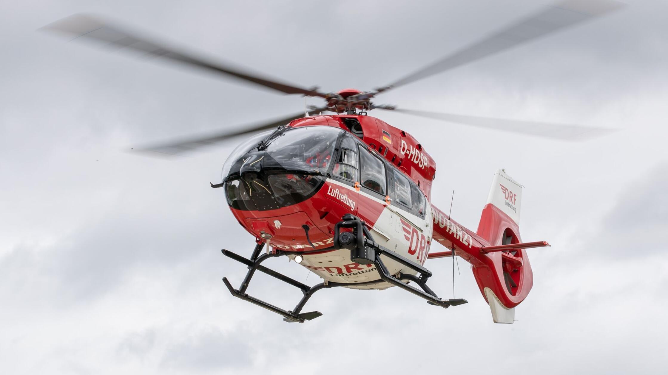 Hund beißt Junge in Kopf und Gesicht und verletzt ihn schwer