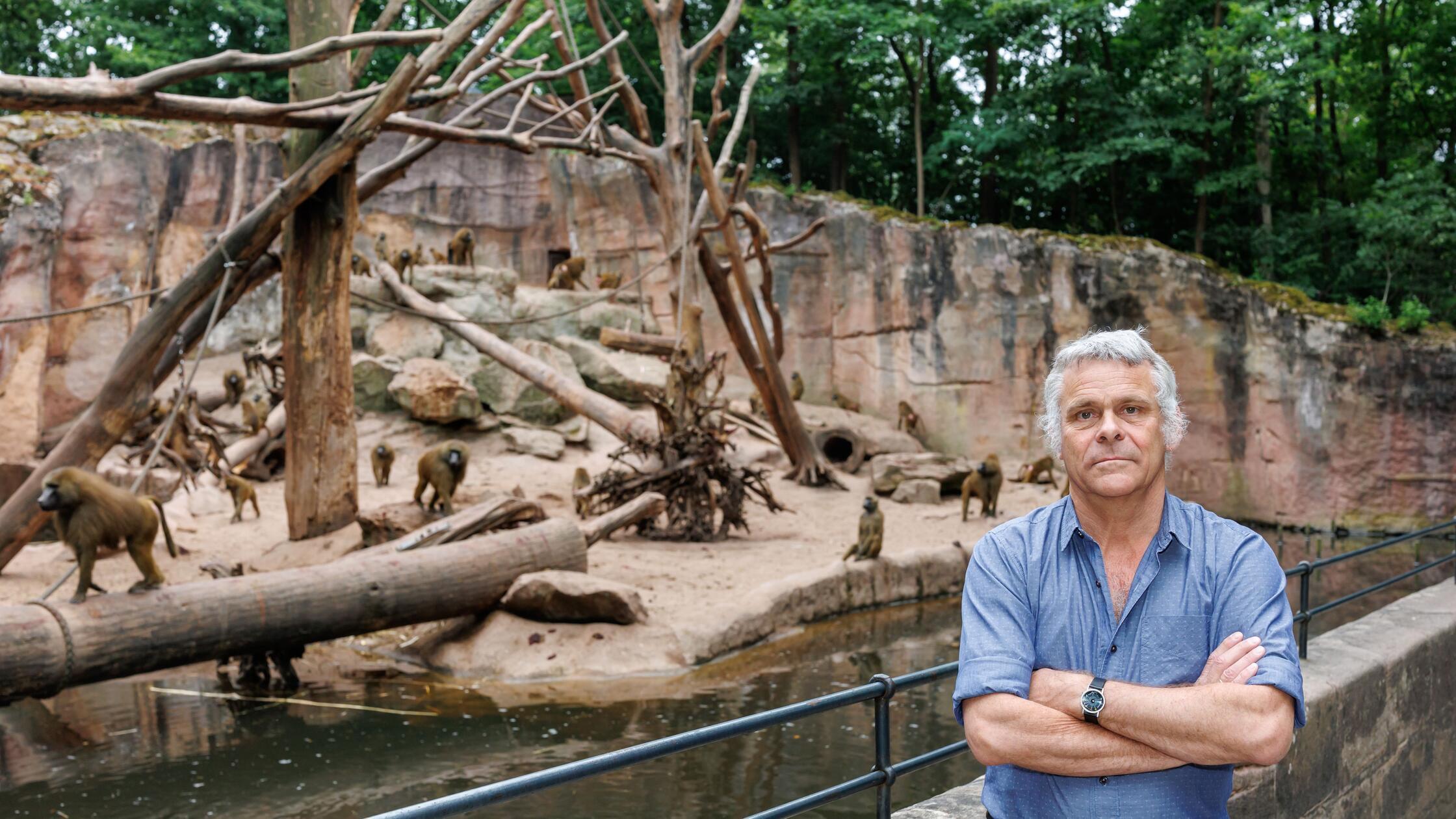 Das Pavian-Dilemma im Tiergarten Nürnberg: Ein Überblick über eineinhalb Jahre Streit