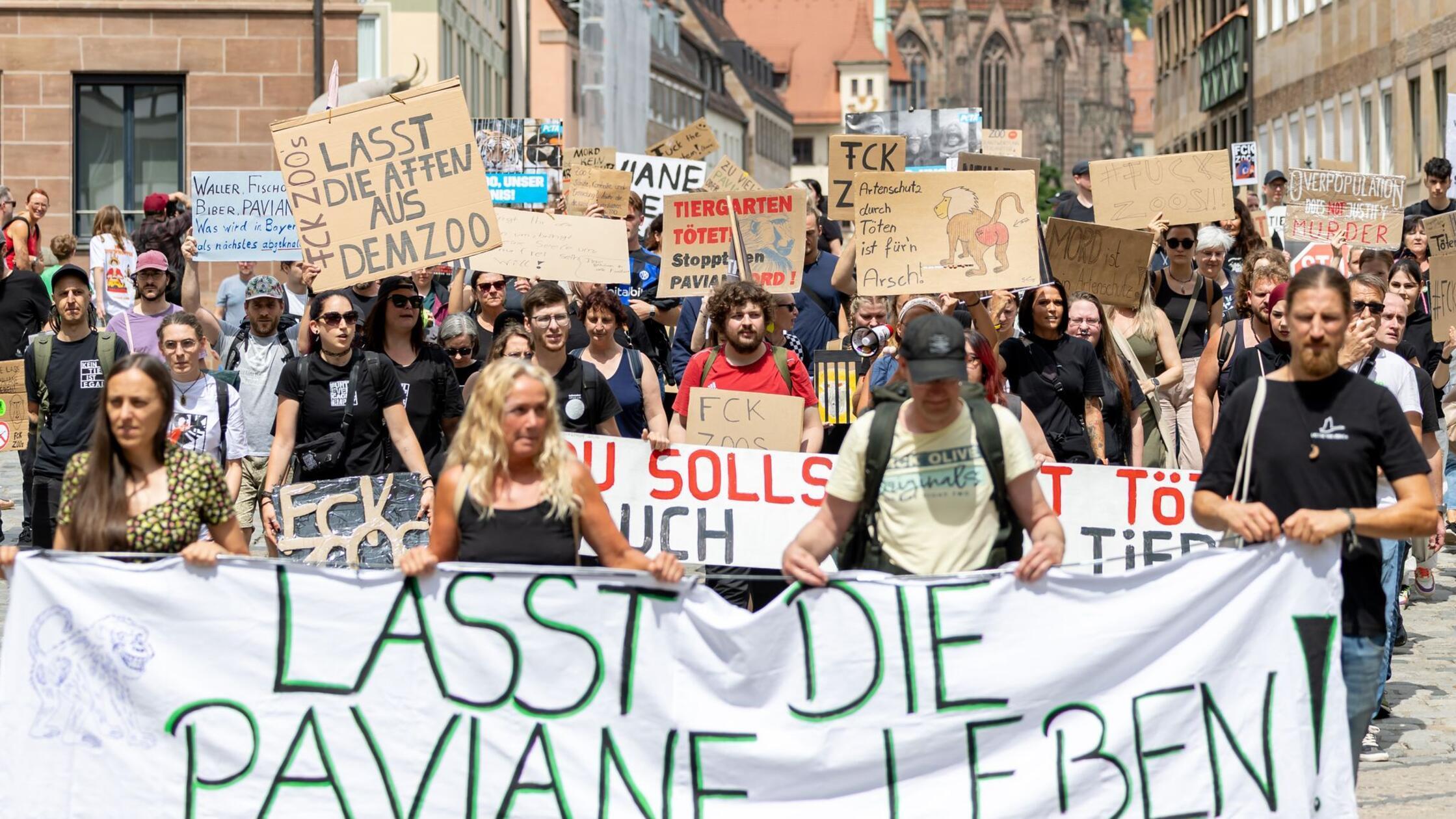Protest gegen Pavian-Tötung - „Schande für Tierschutz“