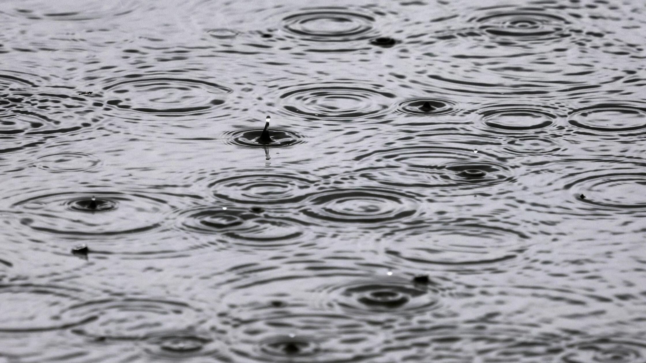 Starkregen in Bayern - lokal bis zu 150 Liter erwartet