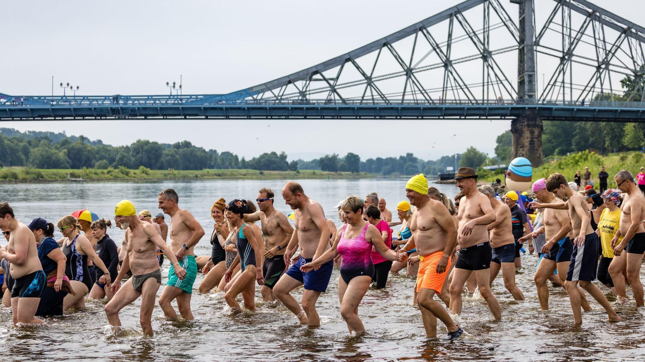 Hunderte Teilnehmer beim Elbeschwimmen in Dresden