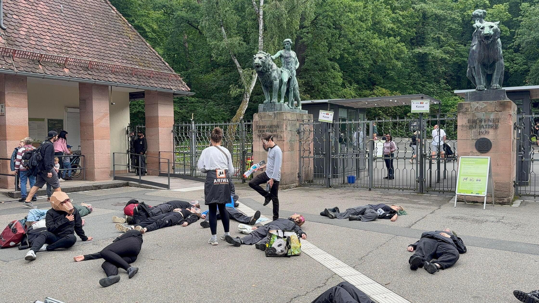 Wieder Protest im Tiergarten Nürnberg: Aktivisten inszenieren Pavian-Erschießung - teils festgeklebt