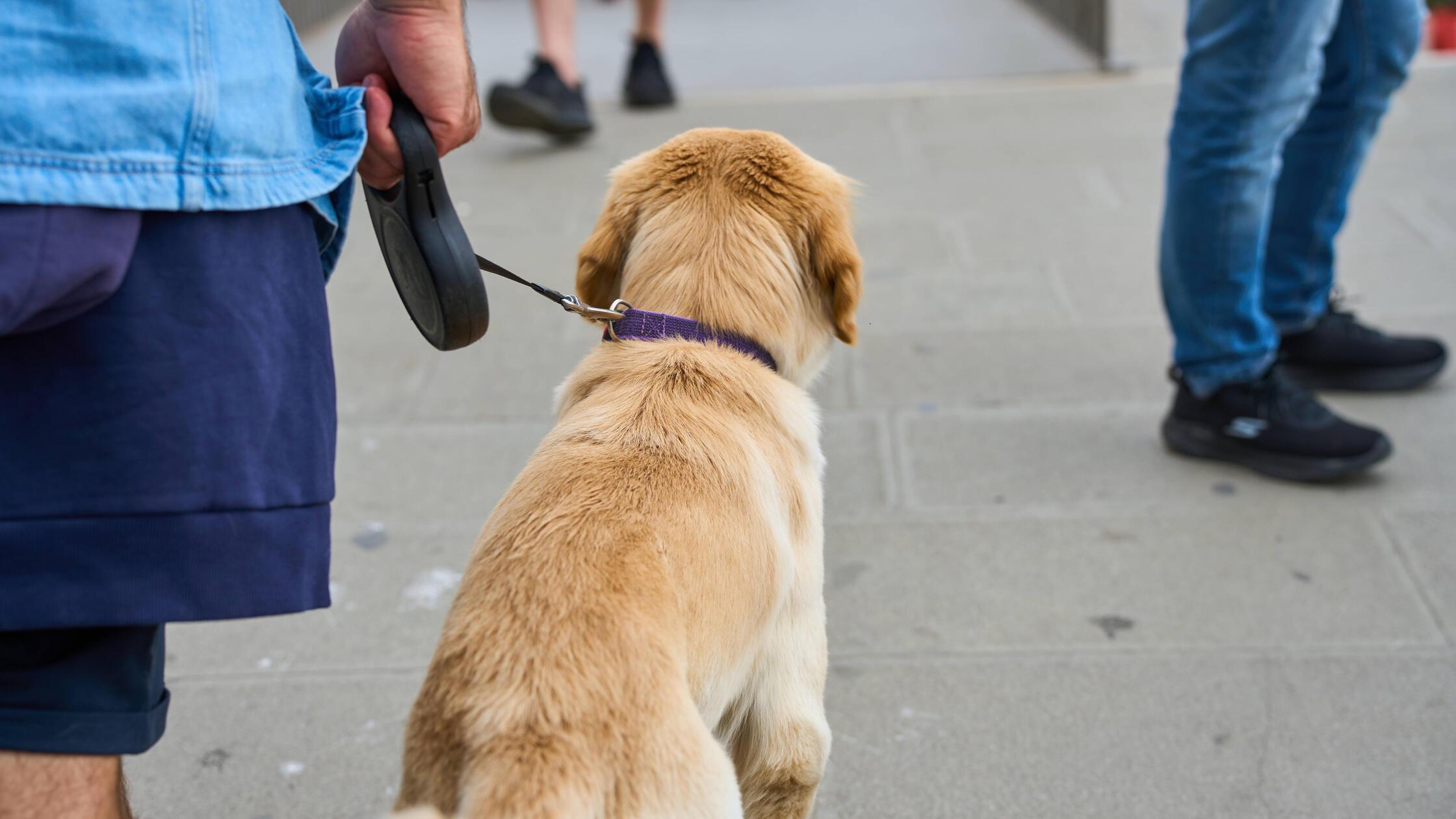 imago images 0470936959