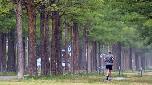 Jogger in Muenchen. Sportler laueft durch einen Pa