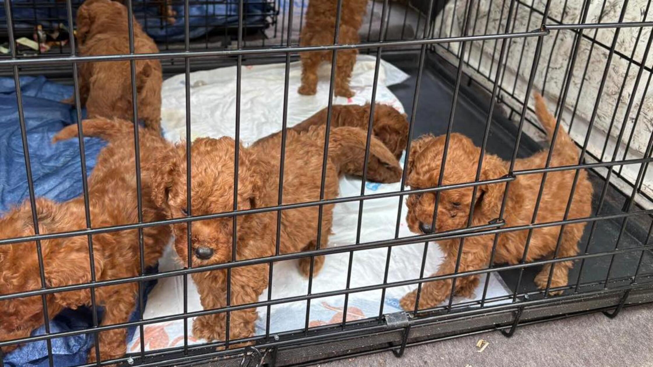 523393547_1169000185272751_28585740076671669_n