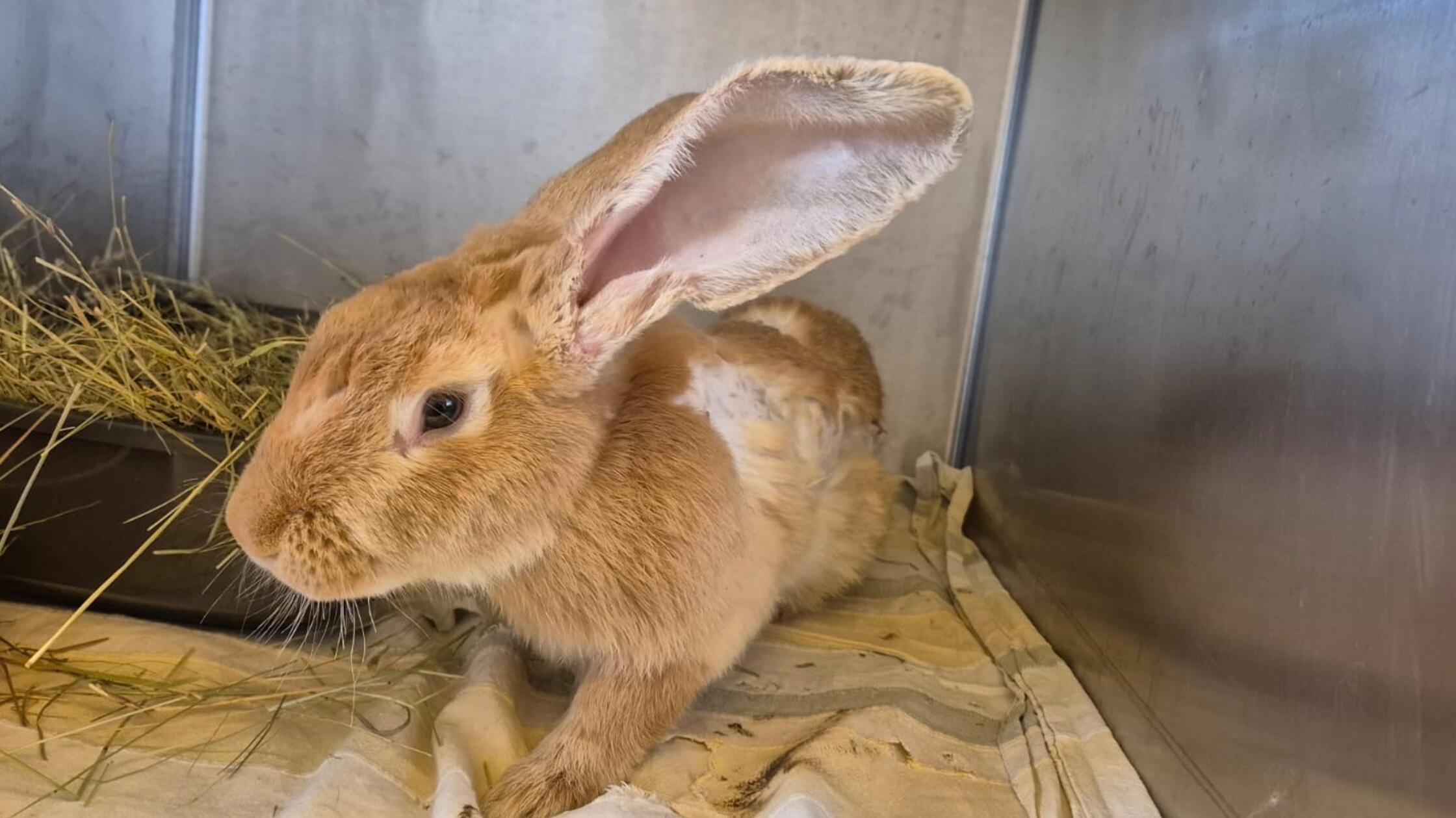 515504734_1170572668448836_4121429525301862234_n