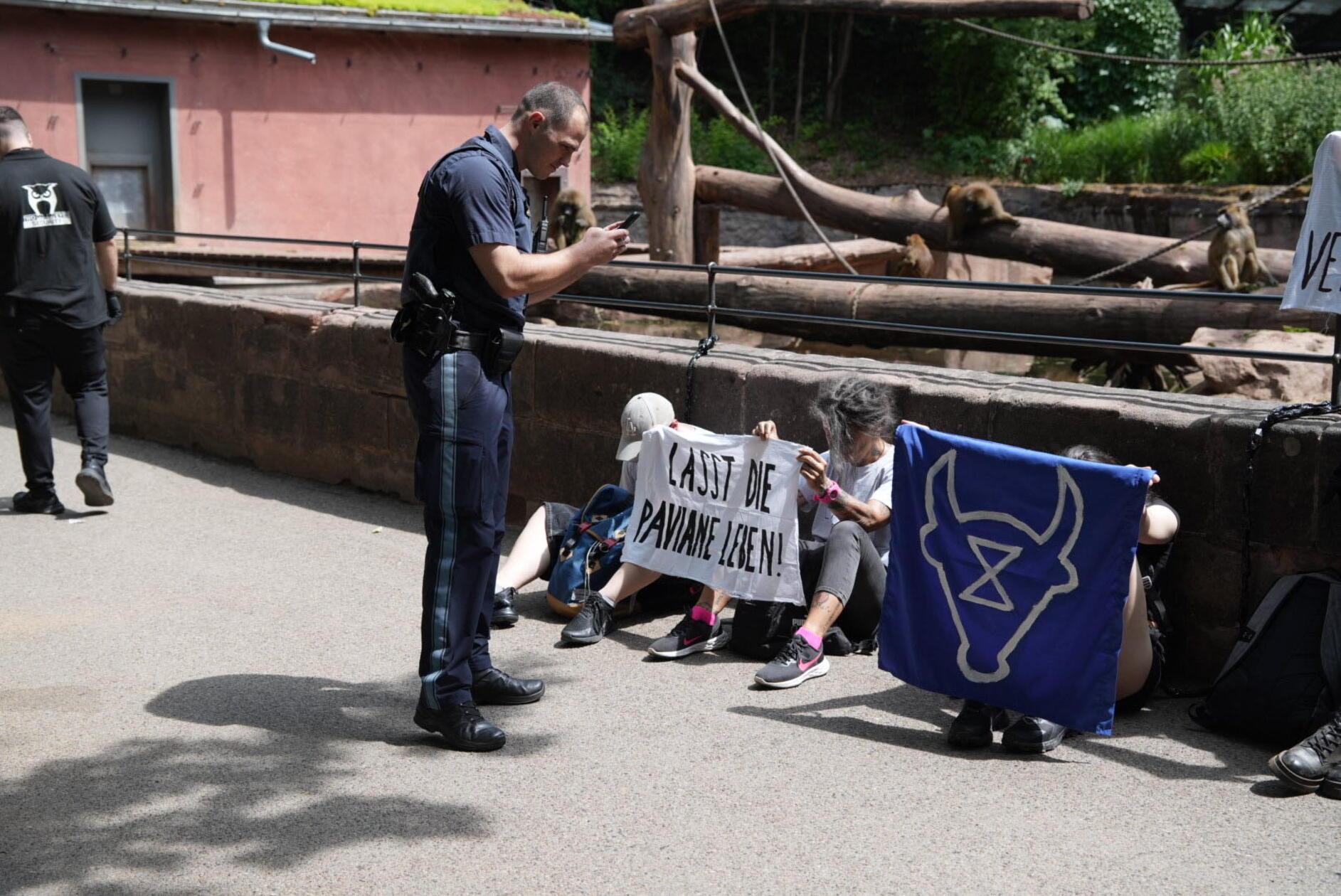 Der städtische Zoo habe nach eigenen Angaben seit Jahren vergeblich versucht, die Größe der Gruppe zu reduzieren und Tiere abzugeben.