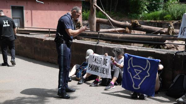 Der städtische Zoo habe nach eigenen Angaben seit Jahren vergeblich versucht, die Größe der Gruppe zu reduzieren und Tiere abzugeben.
