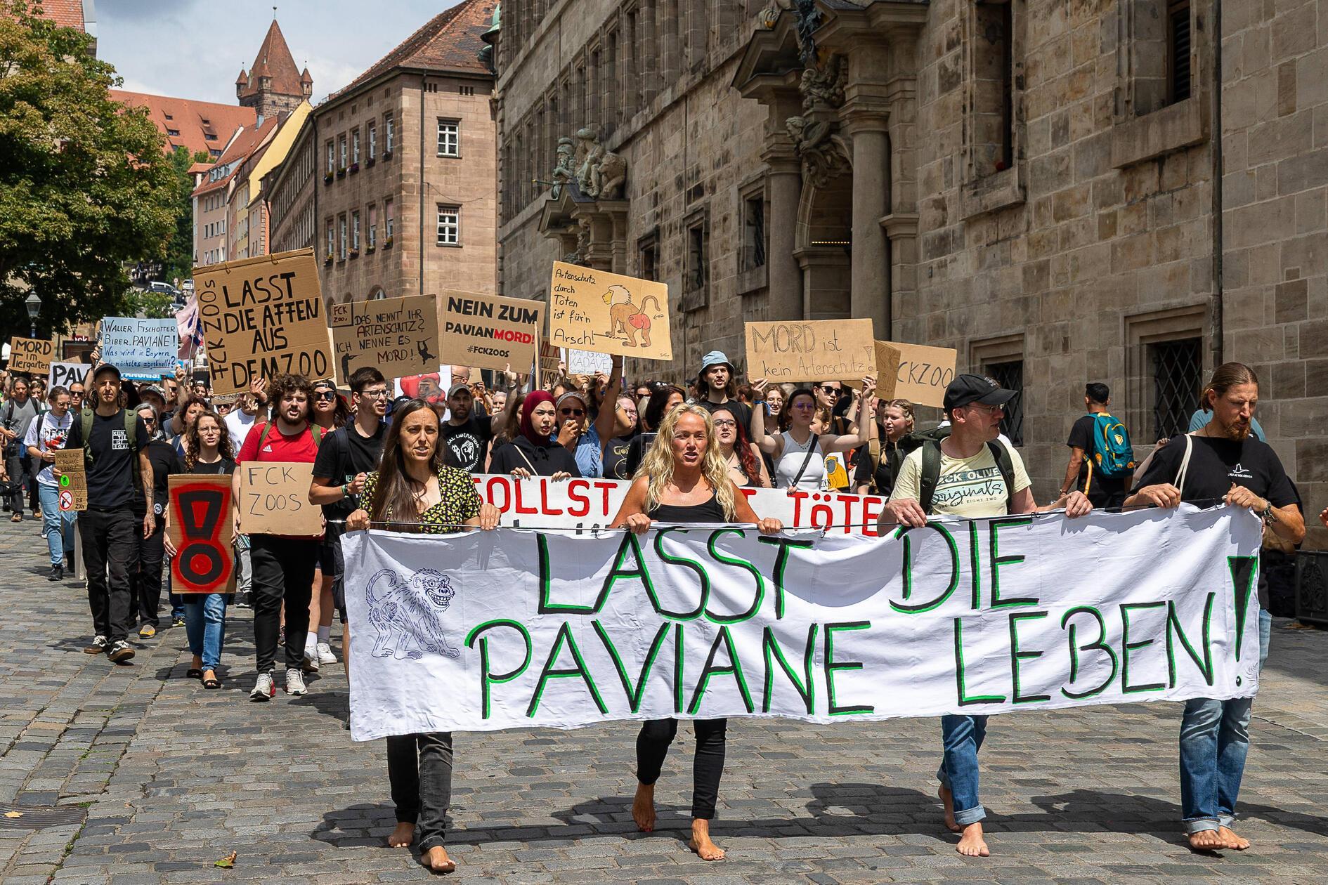 Tierschützerinnen und Tierschützer glauben dennoch, dass die Maßnahmen nicht genug gewesen seien. Sie organisierten auch eine Demonstration, um gegen die geplante Erschießung der Paviane im Nürnberger Zoo zu protestieren.