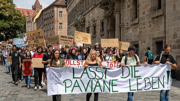 Tierschützerinnen und Tierschützer glauben dennoch, dass die Maßnahmen nicht genug gewesen seien. Sie organisierten auch eine Demonstration, um gegen die geplante Erschießung der Paviane im Nürnberger Zoo zu protestieren.