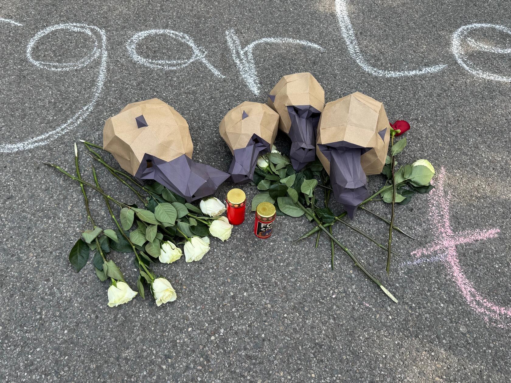 Tierschutz- und Tierrechtsorganisationen kritisierten die Pläne und kündigten an, Strafanzeige stellen zu wollen.