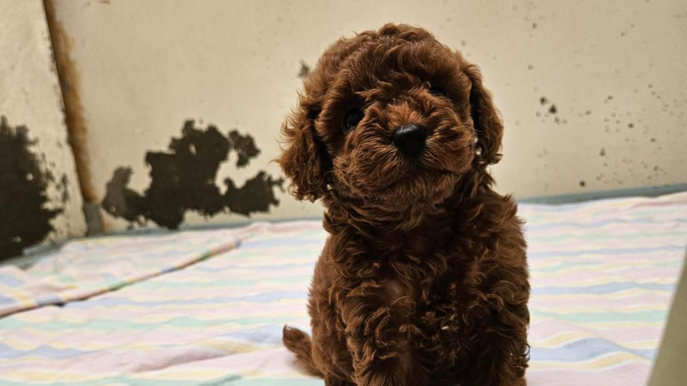 515436207_1171268798379223_801085697597034468_n