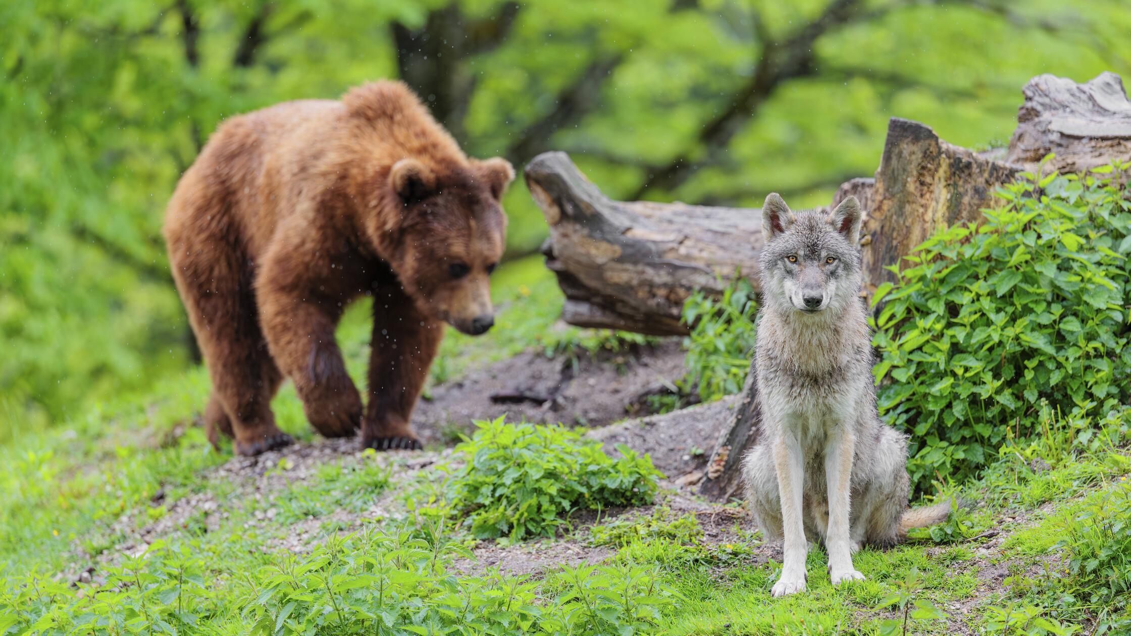 Situationsbewusstsein ist entscheidend! Ein eurasi