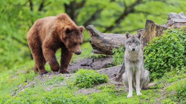 Situationsbewusstsein ist entscheidend! Ein eurasi