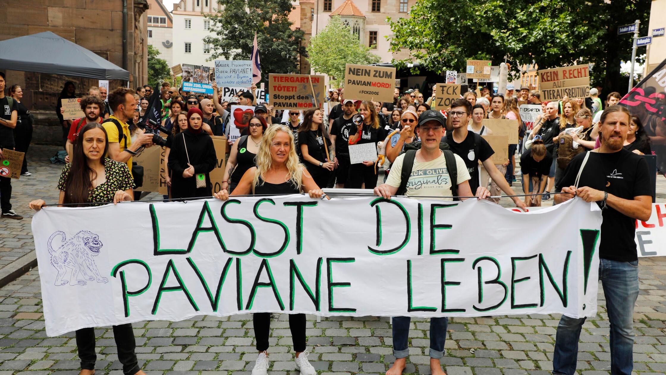 Paviandemo_hip_160725_04