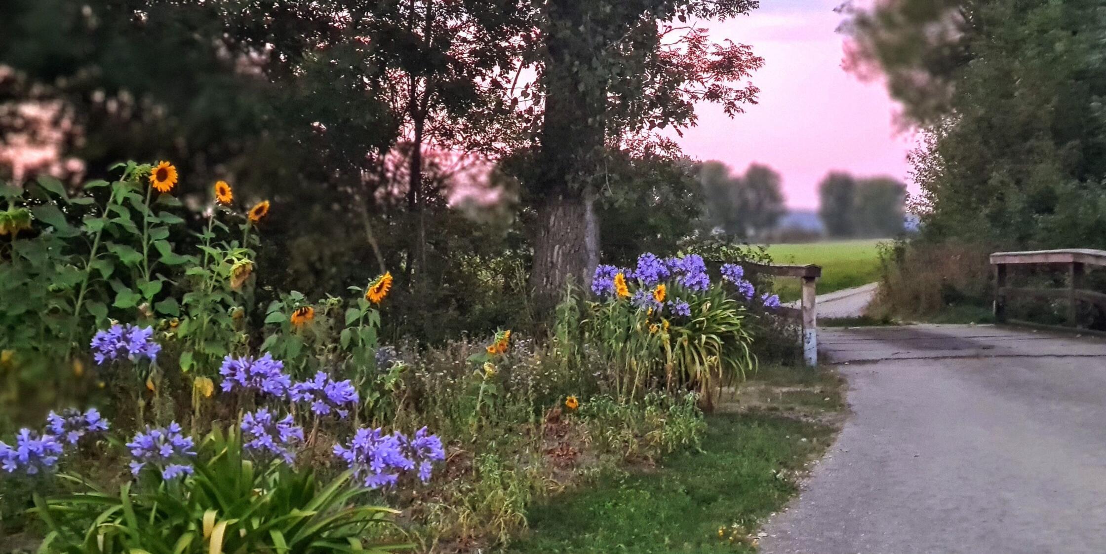 Bildergalerie: Die sch&ouml;nsten Leserfotos im August 2025