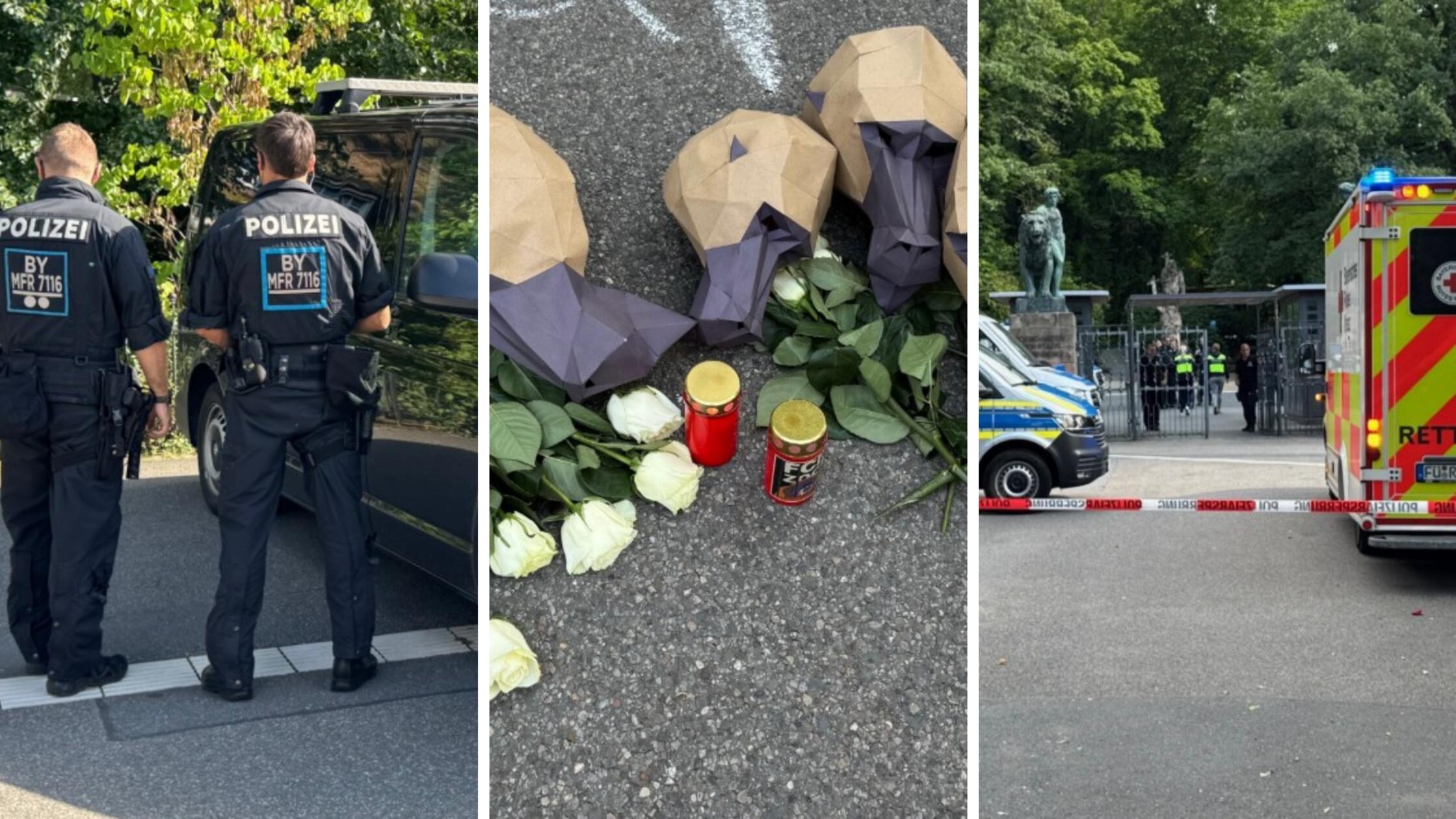 2025-08-01_21-19_collage