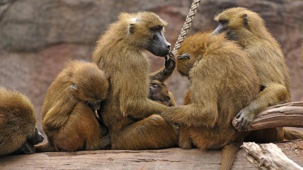 Bildnummer: 58569003 Datum: 17.08.2012 Copyright