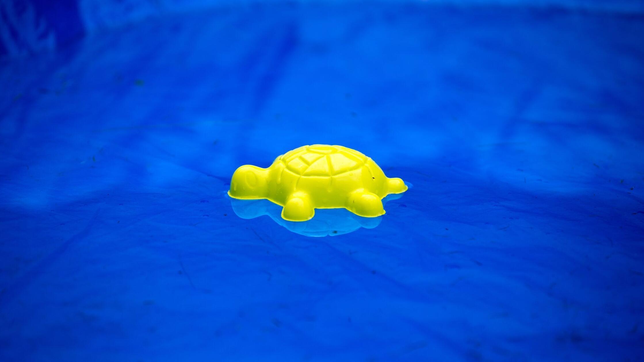 Zwei vermisste Kinder tot in Pool in Frankreich gefunden