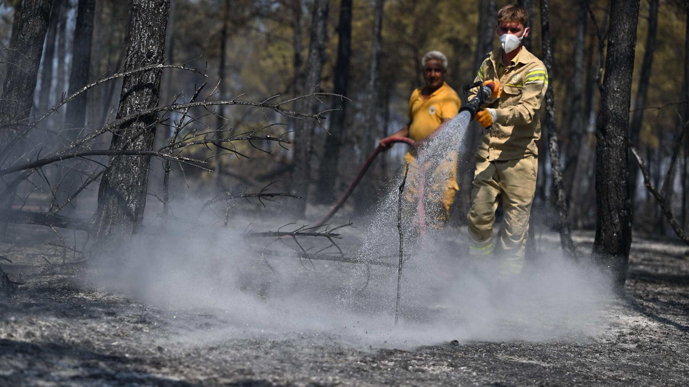 Turkish forestry teams battle ongoing wildfires in