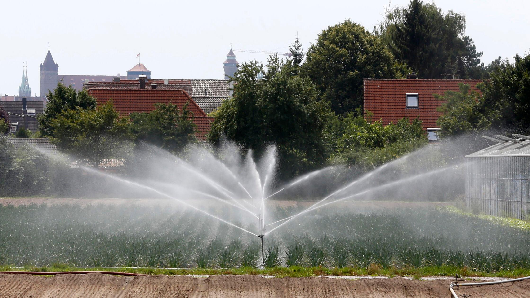 Beregnungs im Knoblauchsland
