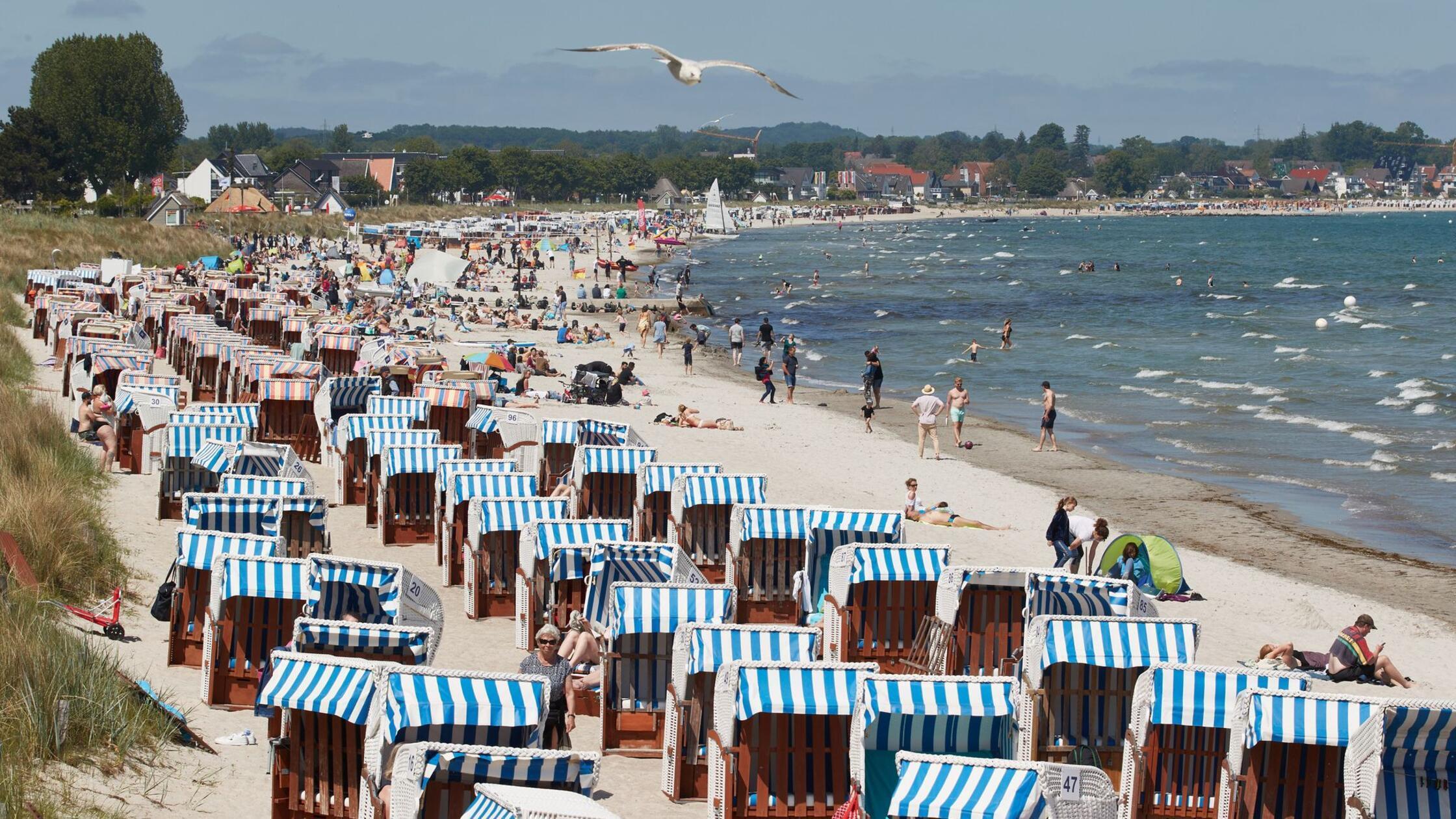 Hochsommerliche Temperaturen im ganzen Land erwartet