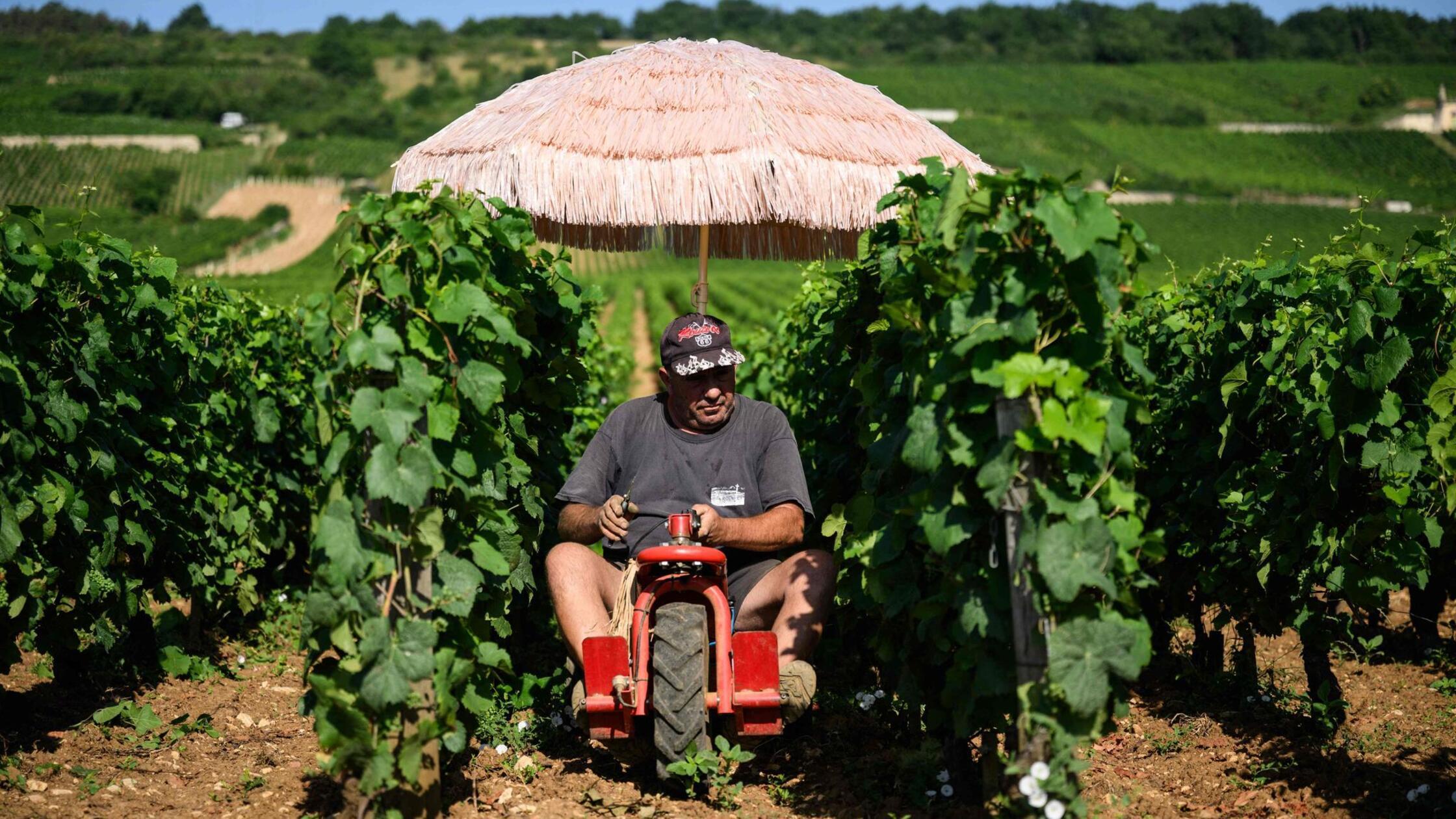 Arbeiten bei Hitze - wie macht es das Ausland?