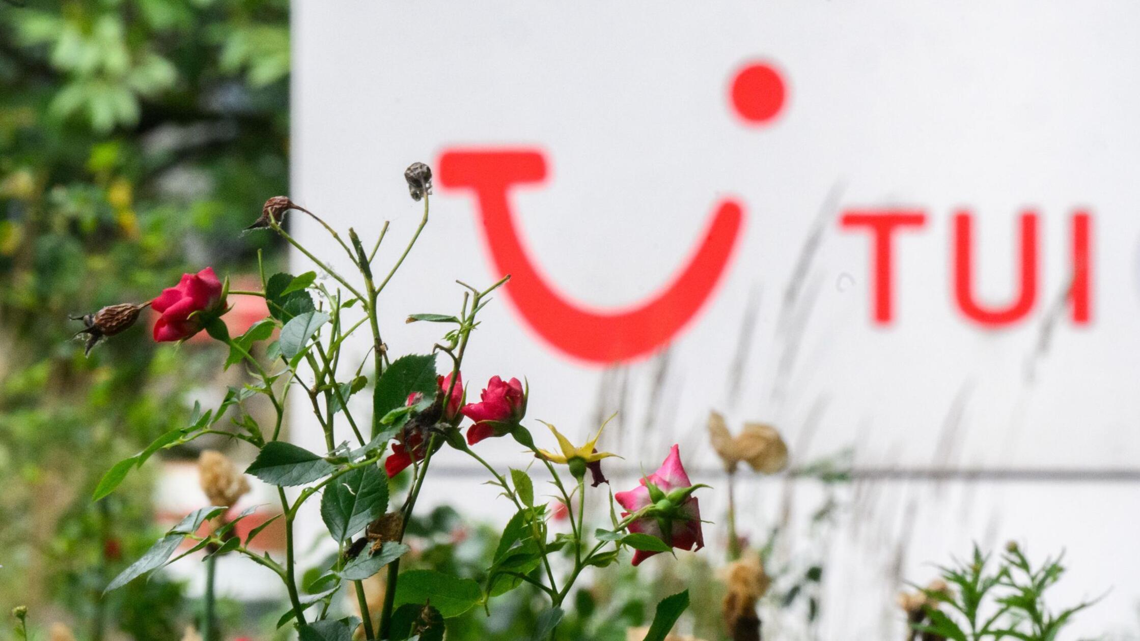 Tui profitiert von der Reiselust – Kreuzfahrten boomen