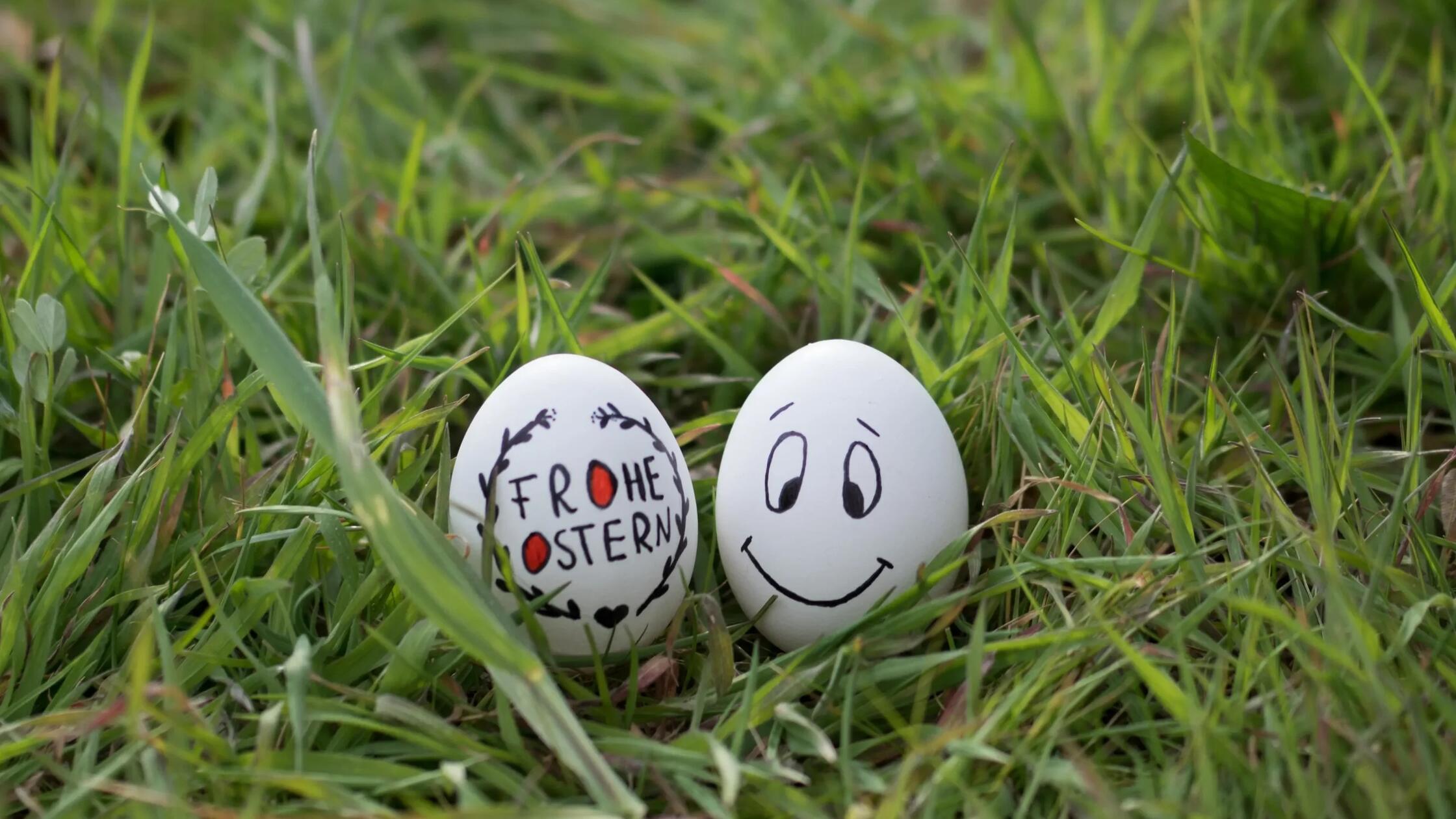 Der Wildpark Hundshaupten bittet an den Osterfeiertagen zu einer Rallye über das Gelände. An mehreren Stationen auf dem Areal muss man Fragen beantworten. Aus den Antworten ergibt sich ein Lösungswort. Mit ein klein wenig Glück gewinnt man damit einen tollen Preis. Geöffnet ist der Park täglich ab 9 Uhr.