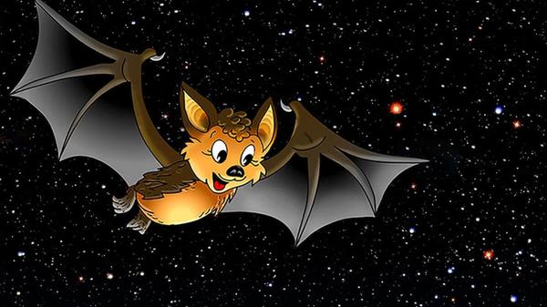 In "Ein Sternbild für Flappi" geht es um eine neugierige Fledermaus, die hinaus in die Welt der Menschen zieht, um Antworten auf all ihre Fragen zu erhalten. Die tierische Sternengeschichte für Kinder ab 5 Jahren läuft am Samstag um 15 Uhr im Planetarium Nürnberg.