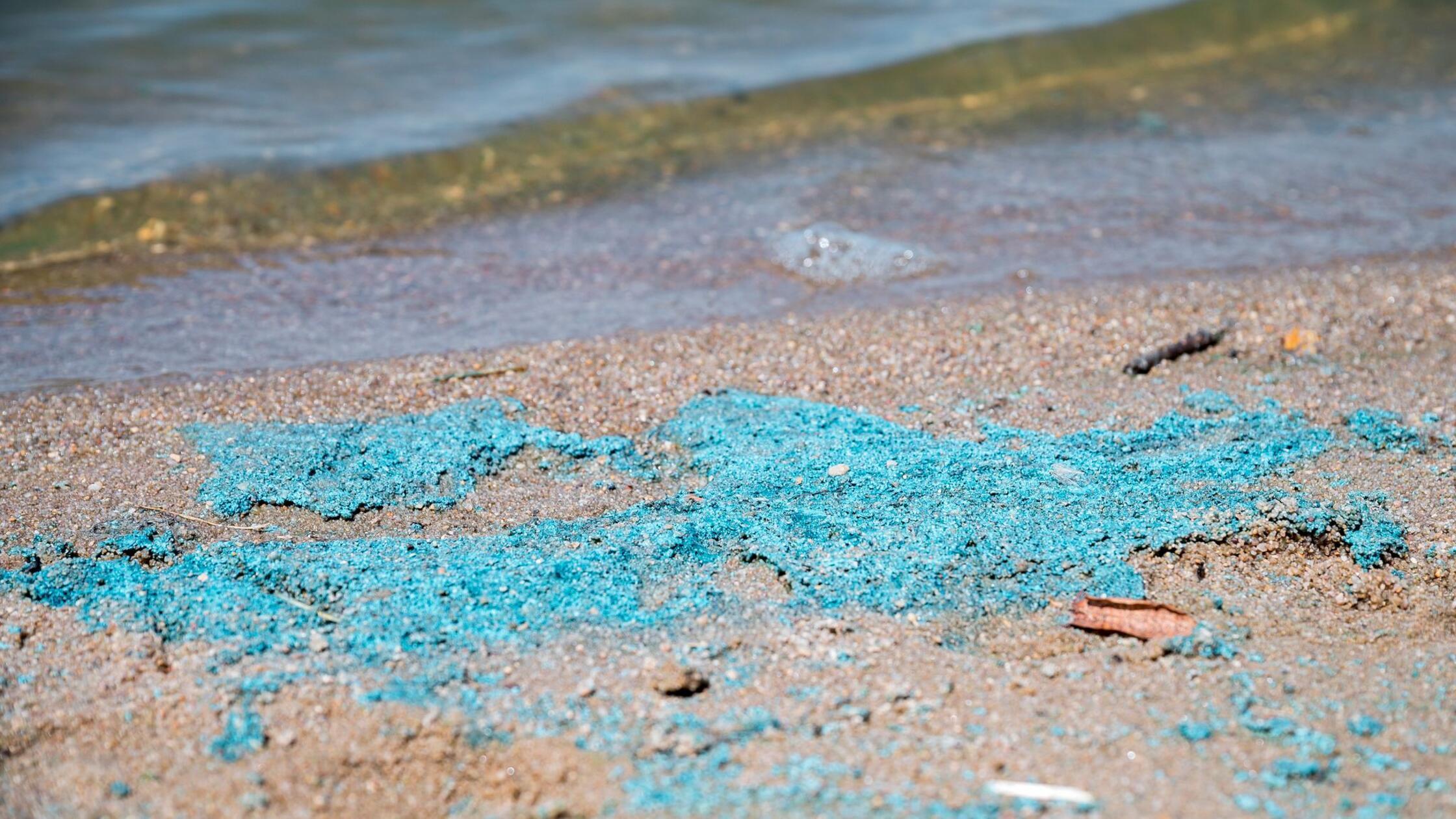 Achtung beim Baden in Franken: Blaualge in Seen festgestellt