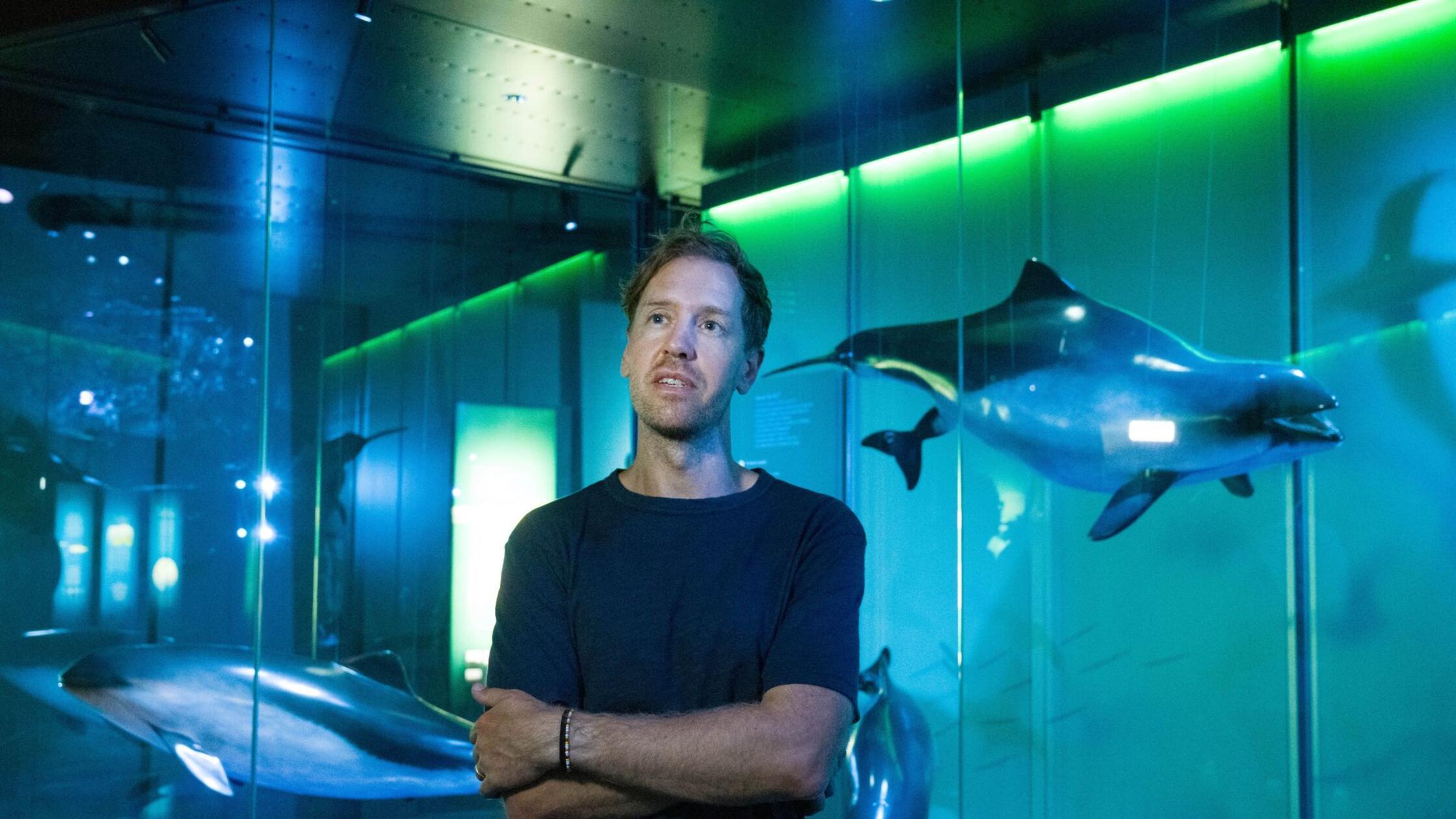 Vettel als Umweltschützer: „Das große Thema unserer Zeit“