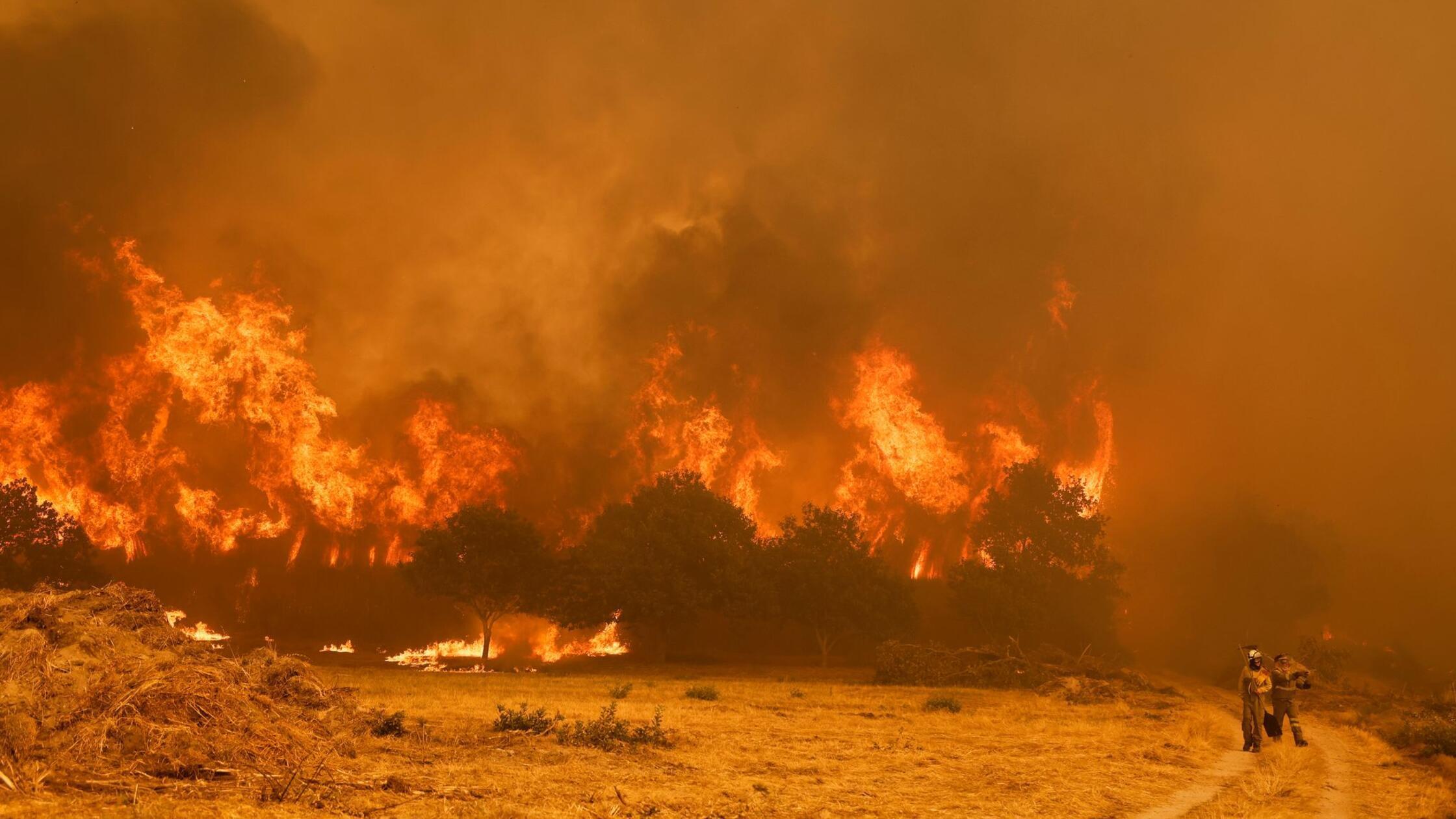 Mindestens 16 große Waldbrände in Spanien