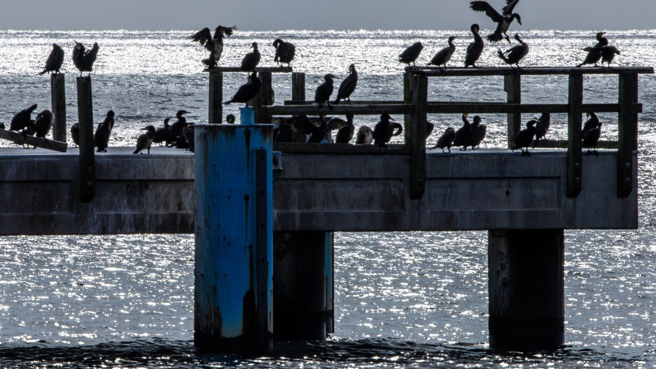 Es wird kühler, bleibt aber sommerlich